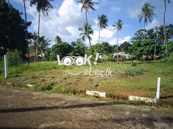 Land for sale 