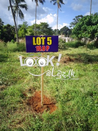 Land for sale 