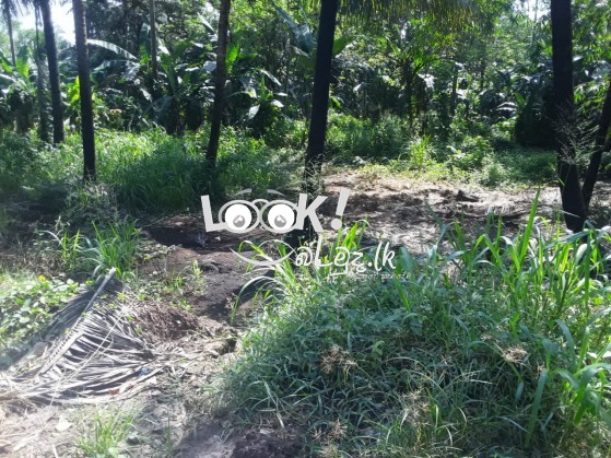 Land for sale 