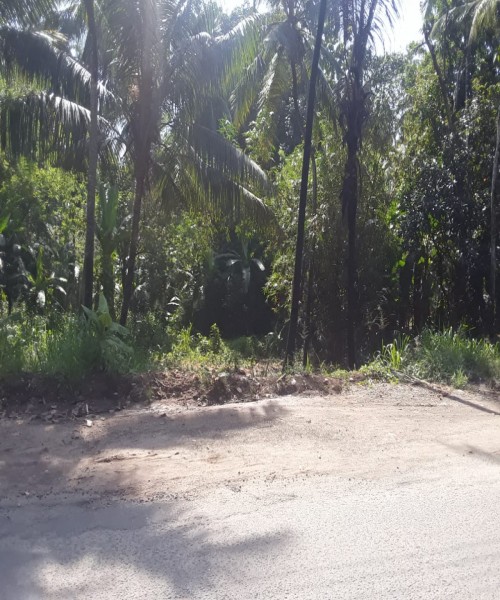 Land for sale 