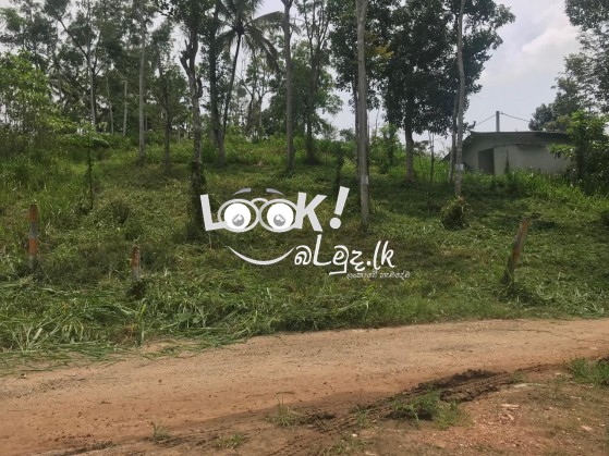 Land for sale 