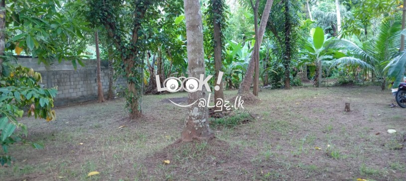 Land for sale 