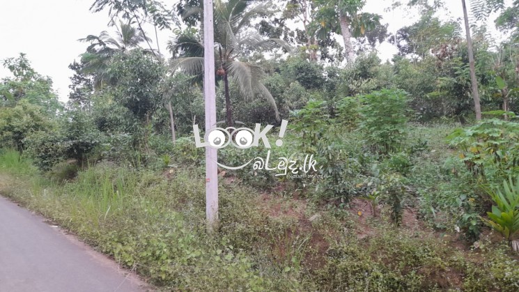 Land for sale 