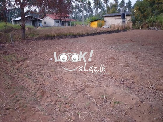 Land for sale 