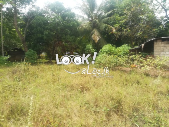 Land for sale 