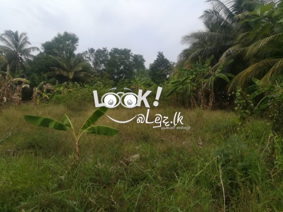 Land for sale 