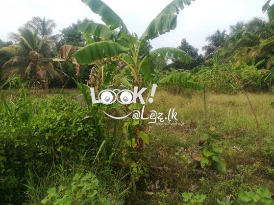 Land for sale 