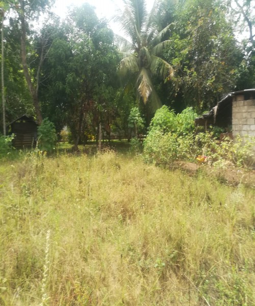 Land for sale 