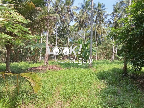 Land for sale 