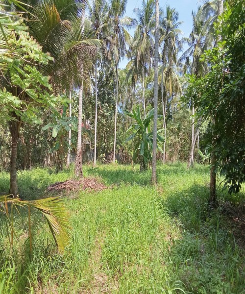 Land for sale 