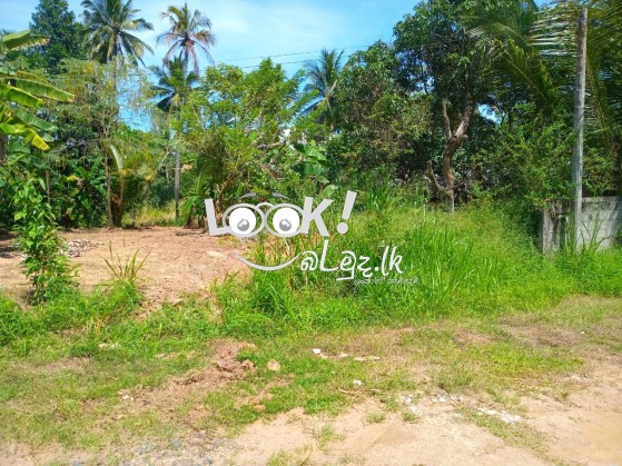 Land for sale 