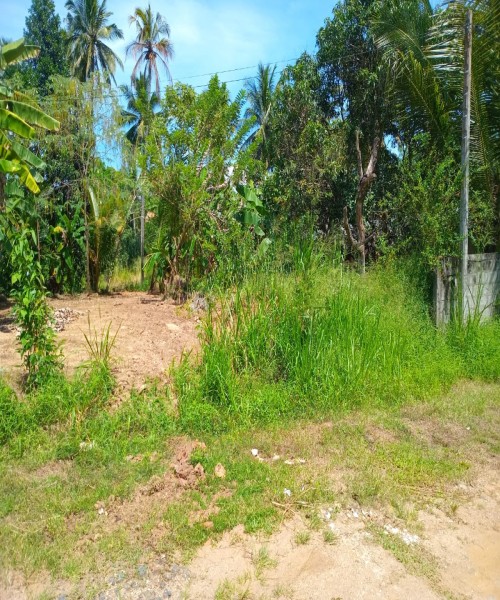 Land for sale 