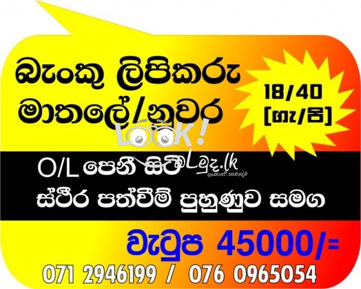 Semi Government Bank Receptionist Kandy