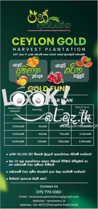 Green investment - ceylon gold harvest plantation & export