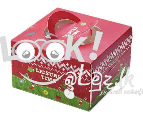 Christmas cake boxes 