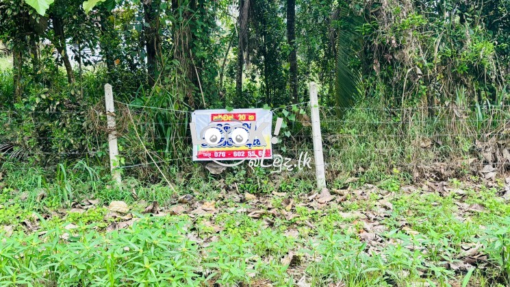 පර්චස් 20 ඉඩම | යක්විල පන්නල , (20 Perch) Yakwila Pannala