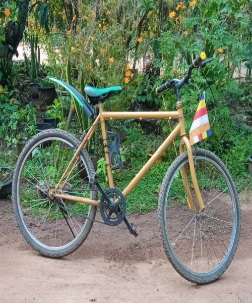 Mountain bicycle for sale 