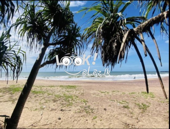 WANTED BEACH FRONT LAND 80 purchase up to WELIGAMA area
