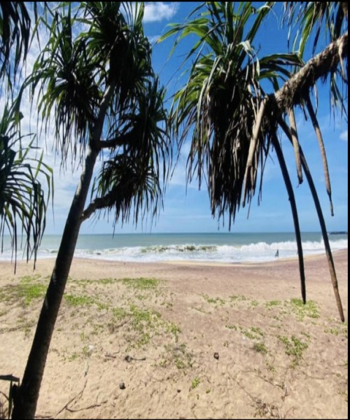 WANTED BEACH FRONT LAND 80 purchase up to WELIGAMA area