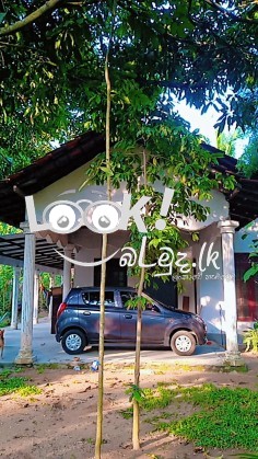 මීරිගම නාල්ල  කොළඹ- කුරුණෑගල 5 පාරට 150m දුරින් අගනා නිවසක් විකිණීමට 