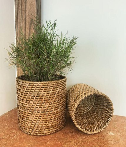 Cane Plant Pots