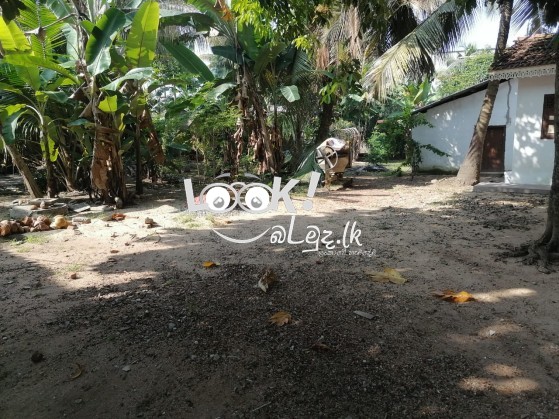 Land For Sale Kelaniya Dalugama 