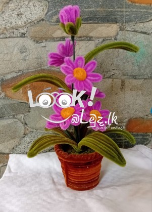 හිරුනී නිෂ්පාදන