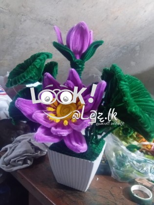 හිරුනී නිෂ්පාදන