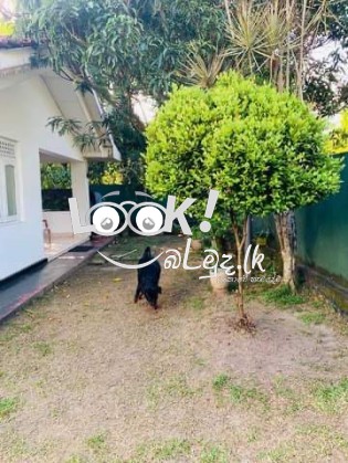 House for sale GAMPAHA