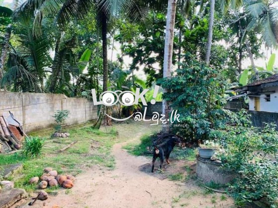 House for sale GAMPAHA