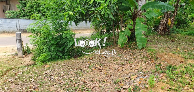 Land for sale MANAWILA