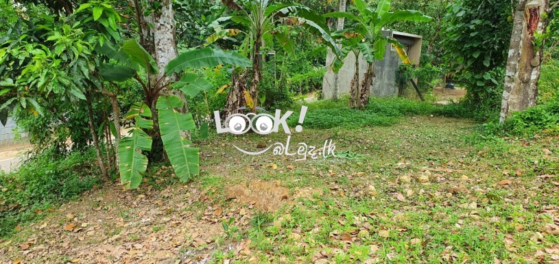 Land for sale MANAWILA