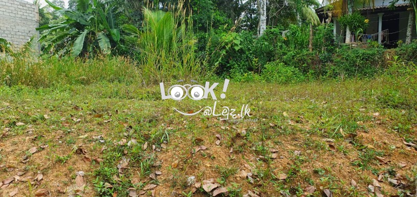 Land for sale MANAWILA