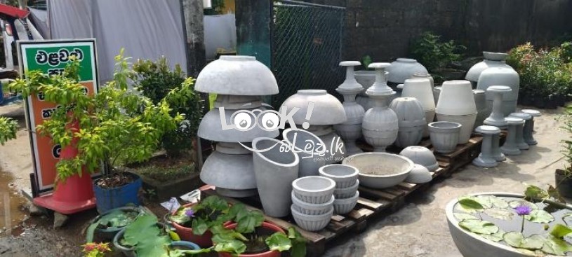 Pots & Plant Nursery Nawala