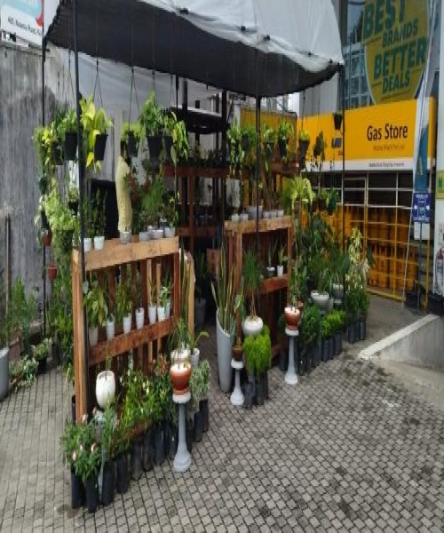 Pots & Plant Nursery Nawala