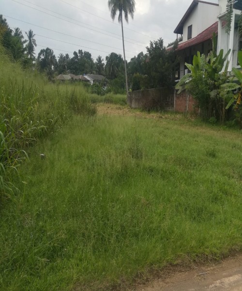 A land sale in Kurunegala 