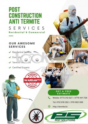 Termites Control