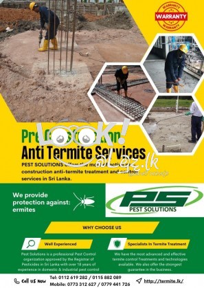 Termites Control