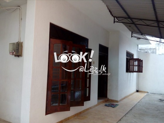 Single House for Rent in Dehiwala 3 Bed Rooms