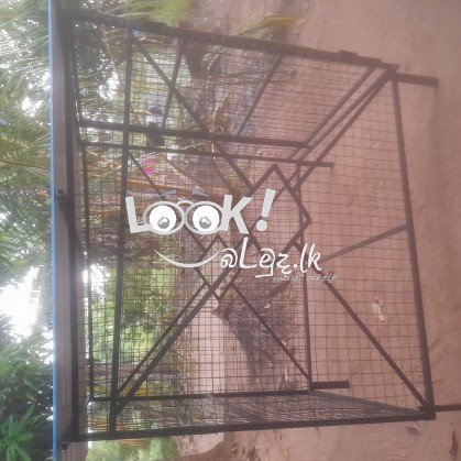 Ballan sadaha kuduwak