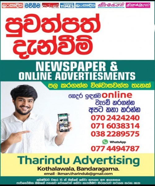 Newspaper Advertisements 