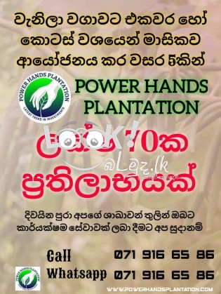  Power hands plantation