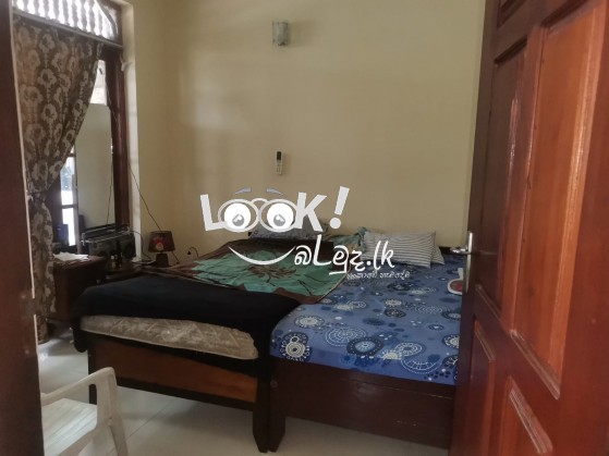 Furnished 1st Floor Apartment for Rent in Attidiya