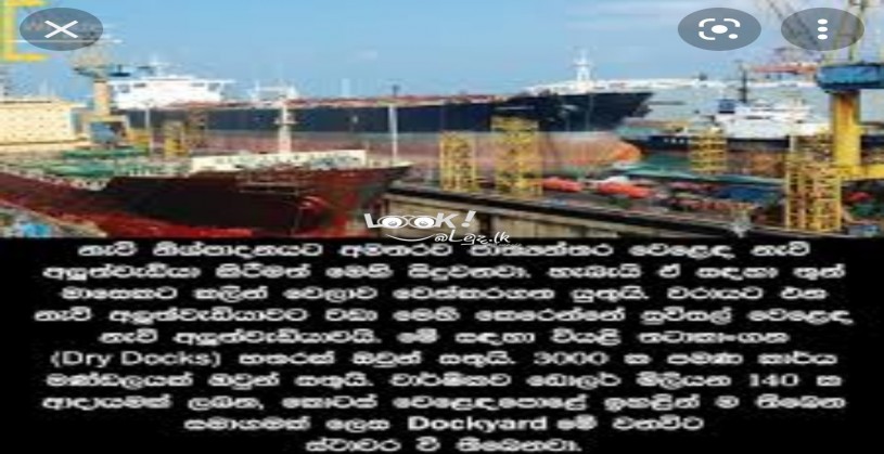 Job vacancy in Colombo port