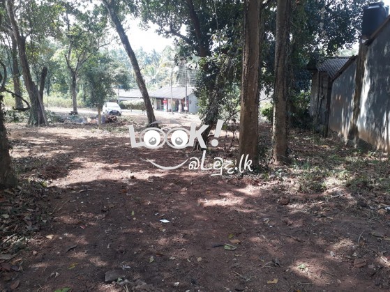 Land for sale Trakmo juntion Kirillawala