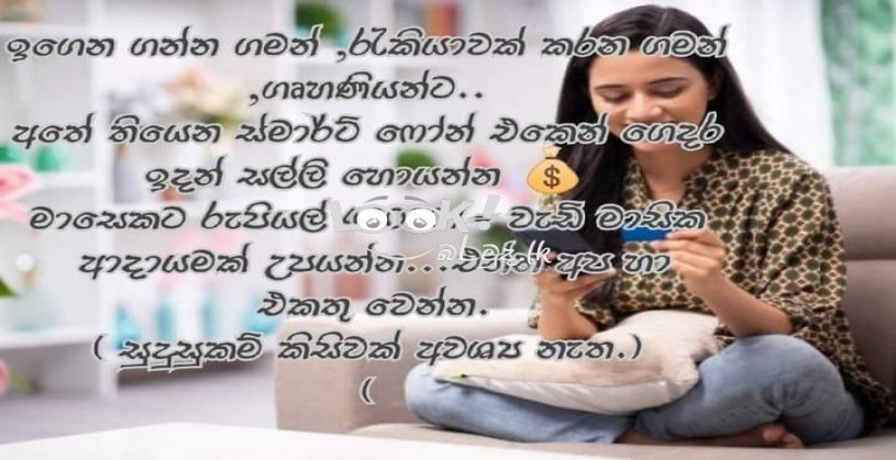 ගෙදර ඉන්න ගමන් හොඳ මාසික ආදායමක් උපයා ගන්න කැමතිද?