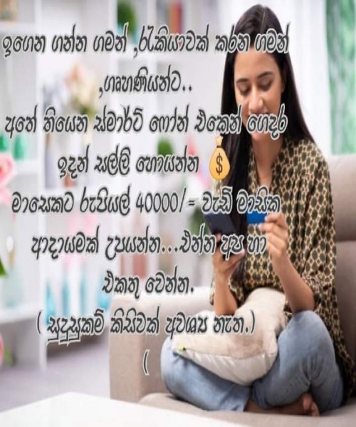 ගෙදර ඉන්න ගමන් හොඳ මාසික ආදායමක් උපයා ගන්න කැමතිද?