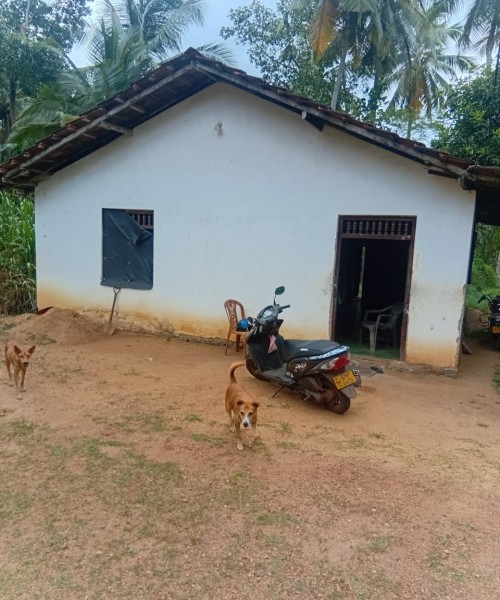 කුරුණෑගල ගිරිඋල්ල බමිමන්න පාර  කොටුවැල්ල  නිවාස ක් සහිත ඉඩම විකිණීමට 
