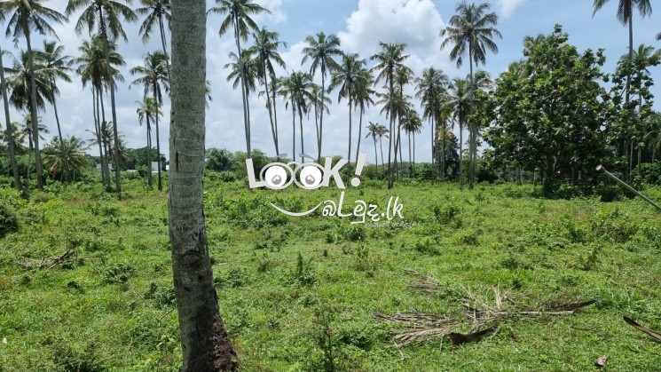 Land For Sale in Awissawella road, Kaduwela