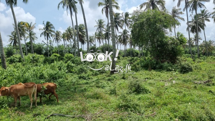 Land For Sale in Awissawella road, Kaduwela